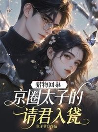 沈嘉陆廷在线阅读