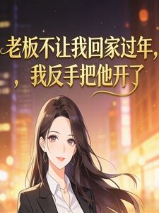 老板不让我回家过年，我反手把他开了在线阅读
