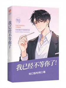 我已经不等你了在线阅读
