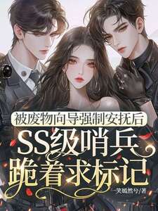 被废物向导强制安抚后，SS级哨兵跪着求标记在线阅读