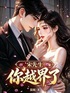 宋先生，你越界了在线阅读
