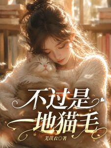 不过是一地猫毛在线阅读