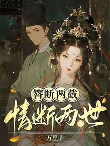 簪断两截，情断两世在线阅读