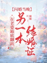 闪婚当晚，在老婆箱底翻出另一本结婚证在线阅读