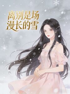 离别是场漫长的雪在线阅读