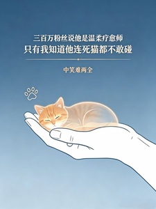 三百万粉丝说他是温柔疗愈师，只有我知道他连死猫都不敢碰在线阅读