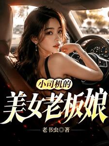 小司机的美女老板娘在线阅读