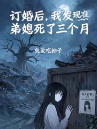 订婚后，我发现准弟媳死了三个月在线阅读