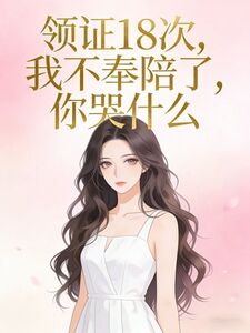 领证18次，我不奉陪了，你哭什么在线阅读