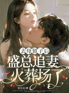 去母留子后，盛总追妻火葬场了在线阅读