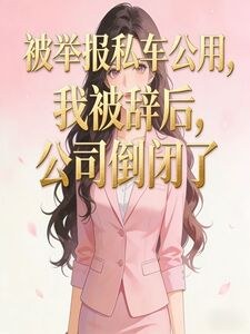 被举报私车公用，我被辞后，公司倒闭了在线阅读