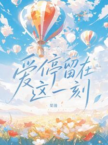 爱停留在这一刻在线阅读