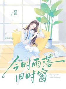 今时雨落旧时窗在线阅读