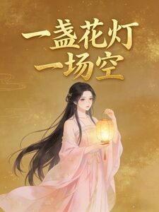 一盏花灯一场空在线阅读
